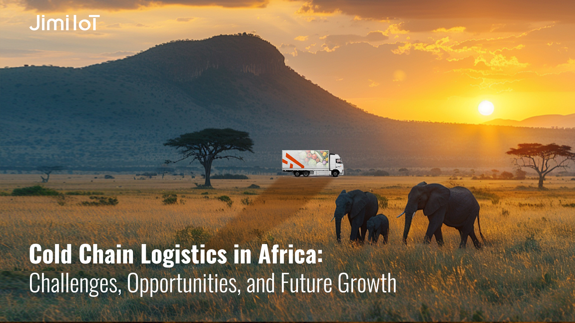 Explore the importance of cold chain logistics in Africa, the challenges it faces, and the innovations driving growth. Discover how tech..